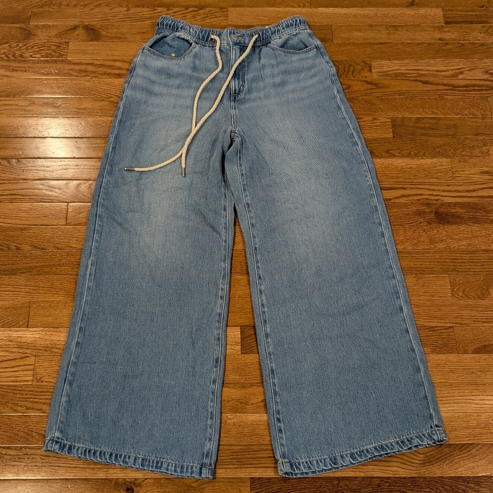 LOFT The Palazzo High Rise Size 30 Regular Wide Leg Light Blue Jeans Size 30